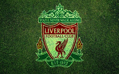 冠军体育独家-世界杯历史数据统计